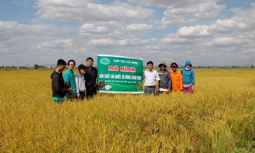 Tập trung thực hiện chiến lược phát triển kinh tế tập thể giai đoạn 2021-2030