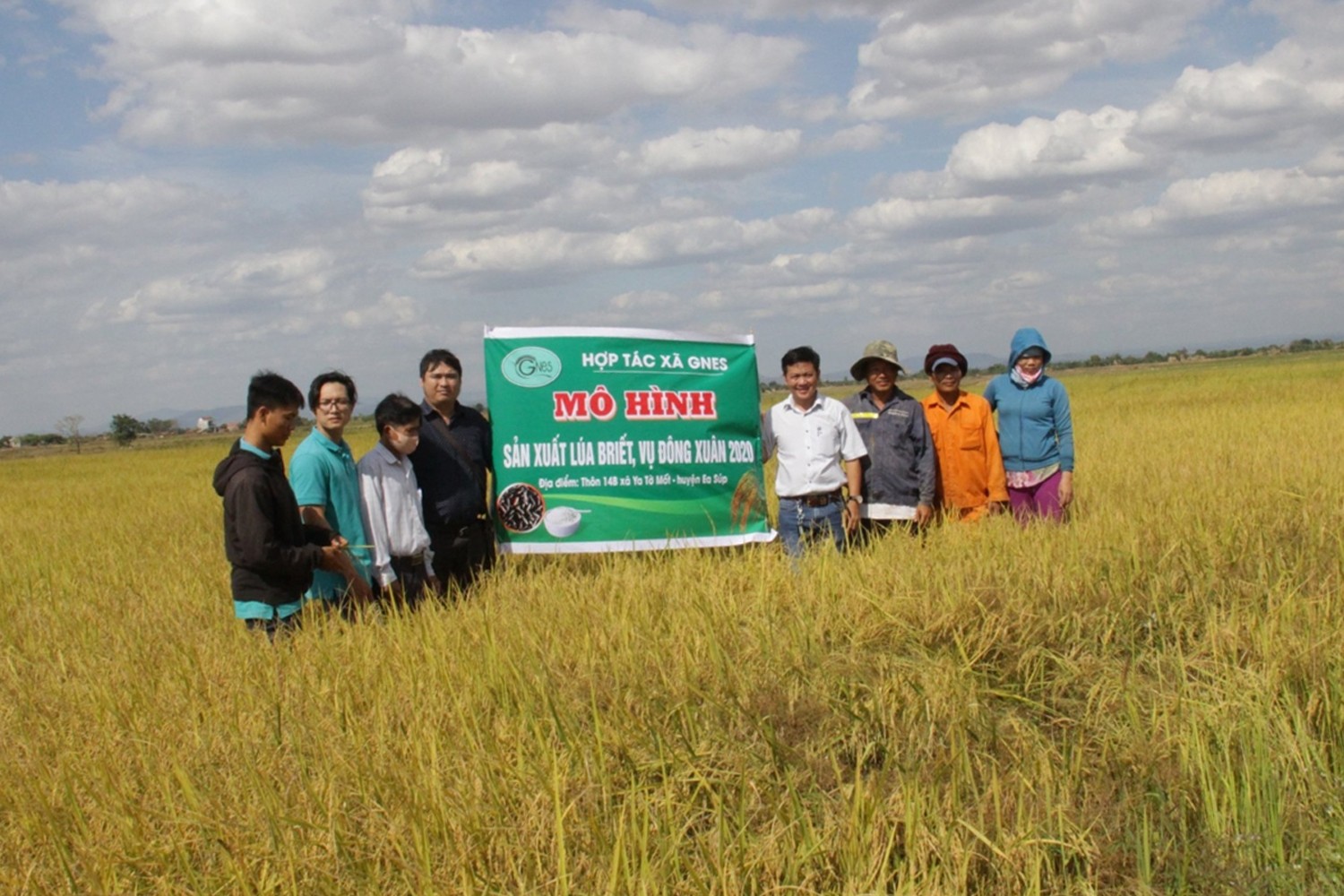 mot-canh-dong-lua-o-ea-sup-duoc-nuoi-trong-theo-mo-hinh-huu-co-1713695263