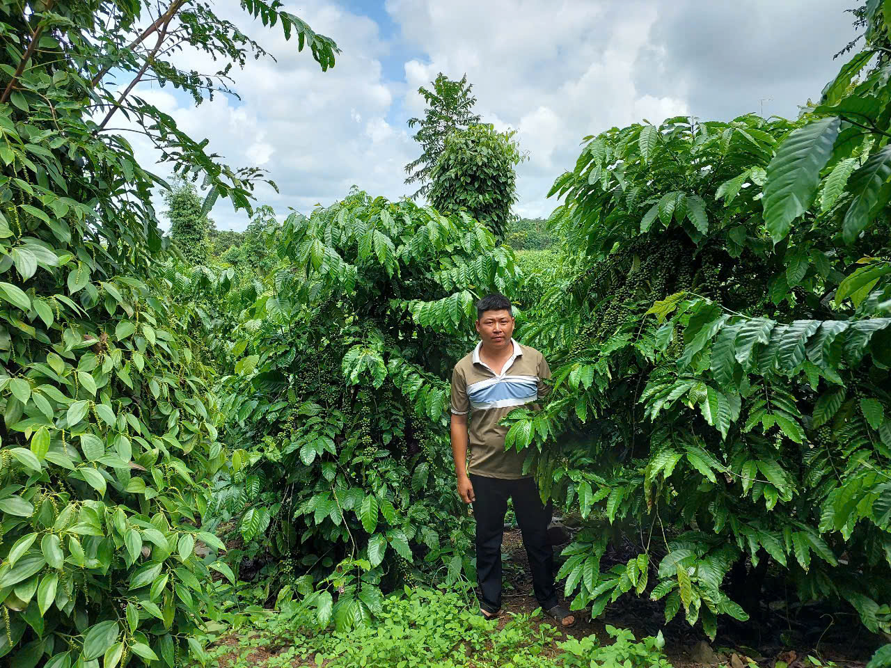 z7061956159651_a43acdd6f71b54416b699d22c22ea5f0