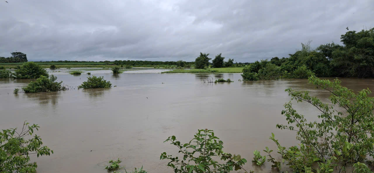 Người dân xã Ea Súp bước đầu thiệt hại sản xuất nông nghiệp do mưa lớn