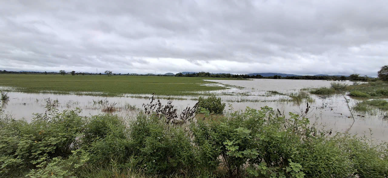 z7040961553449_138448d071882c9b68ec179fe40e0dc7