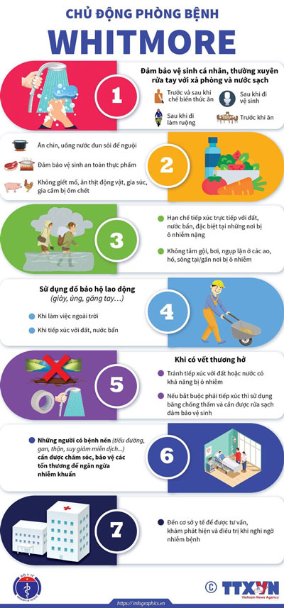 Lưu ý các biện pháp phòng bệnh Whitmore
