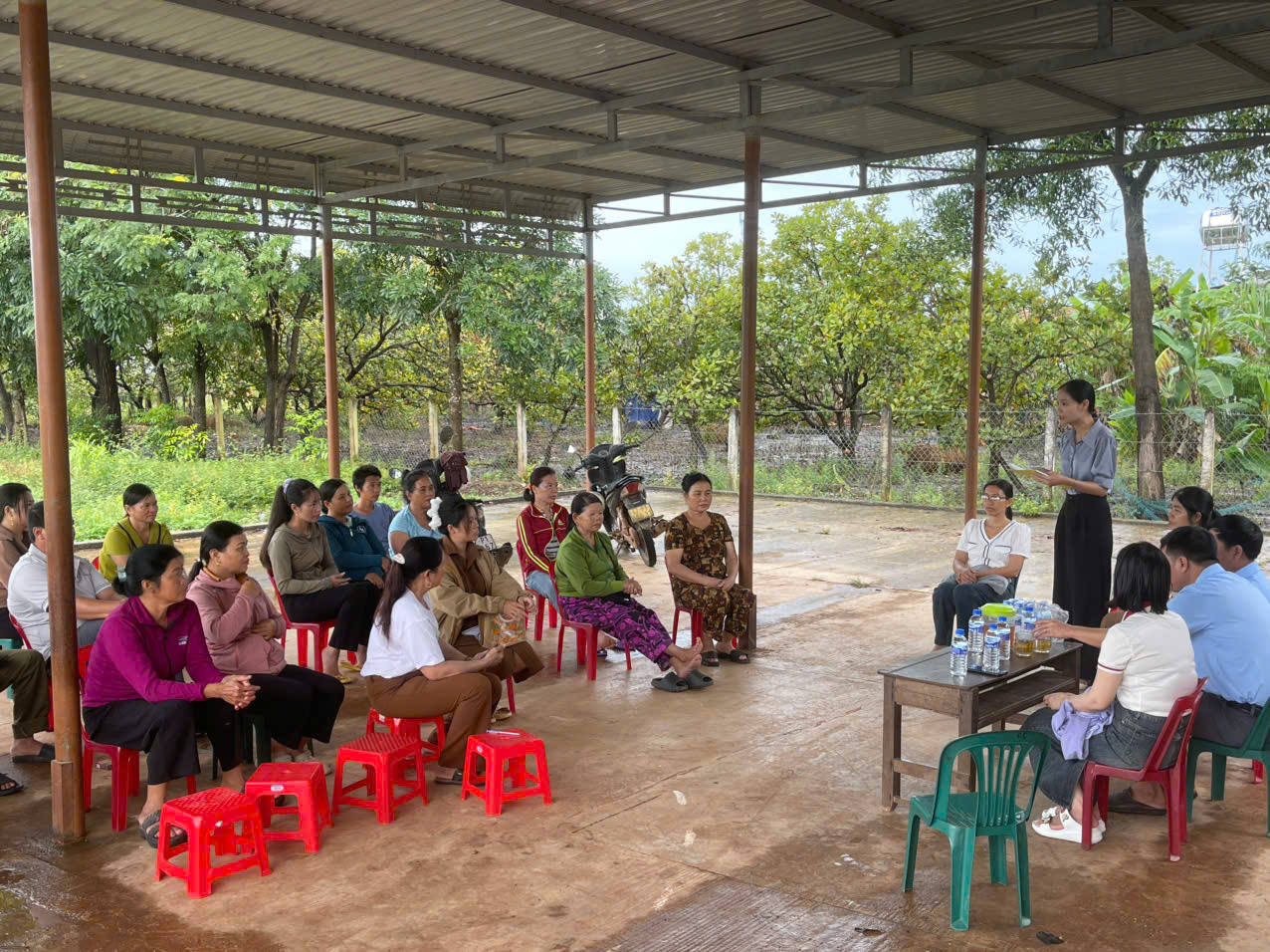Mở lớp đào tạo nghề chăn nuôi trâu, bò cho lao động nông thôn