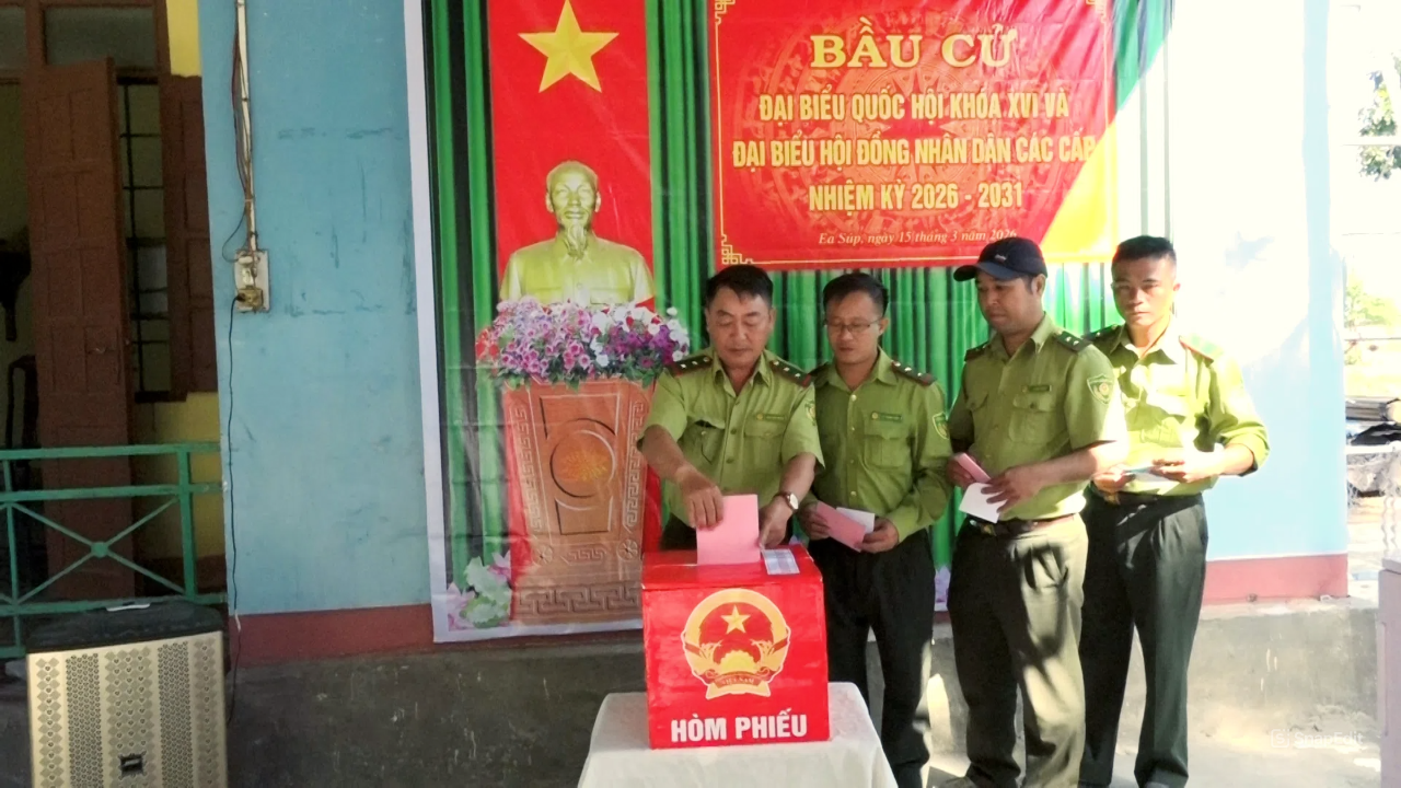 snapedit_1773548510461