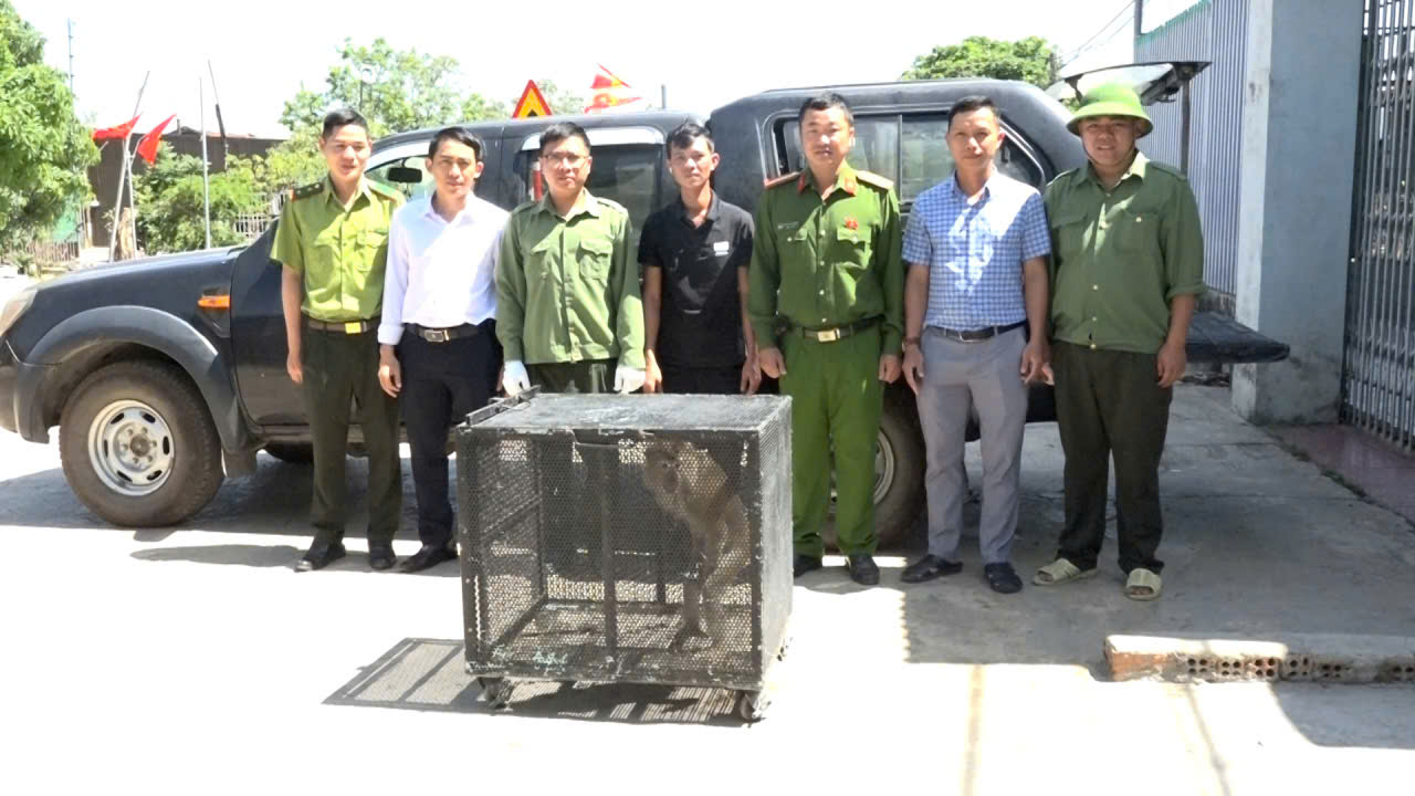 z7625852644578_447a7a2357be5d77215b890350b13517