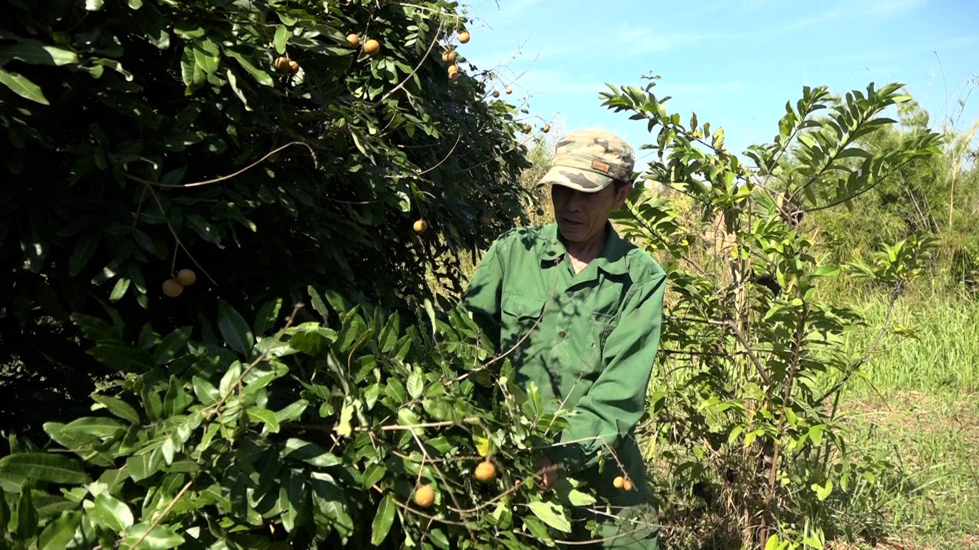 00199.MTS.00_00_00_23.Still001