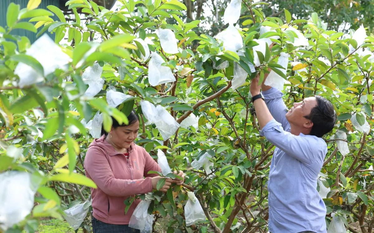 z7329016282501-e86dccb38e3e06787444fbc7e9ad054c-44121442607946040302042-11090761915773015764894