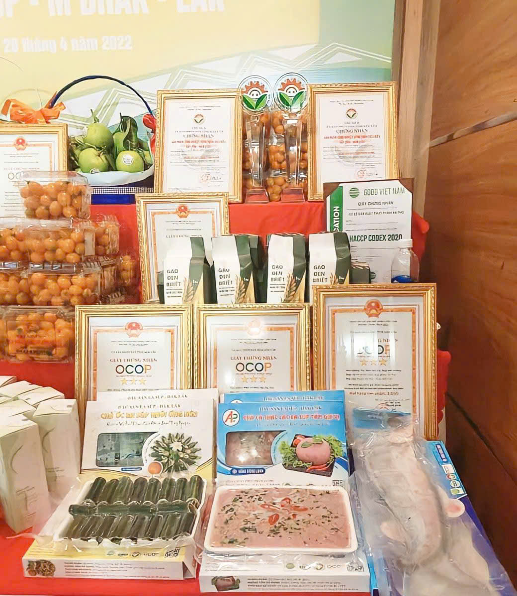 z7516680866918_33b339ca70efa3e7a6a6fcd8b2204929