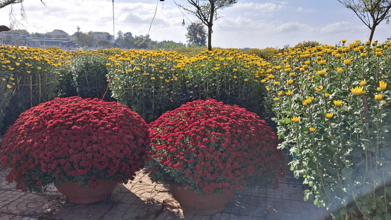 z7516030944687_c9e279a6327391c0872999109932598d