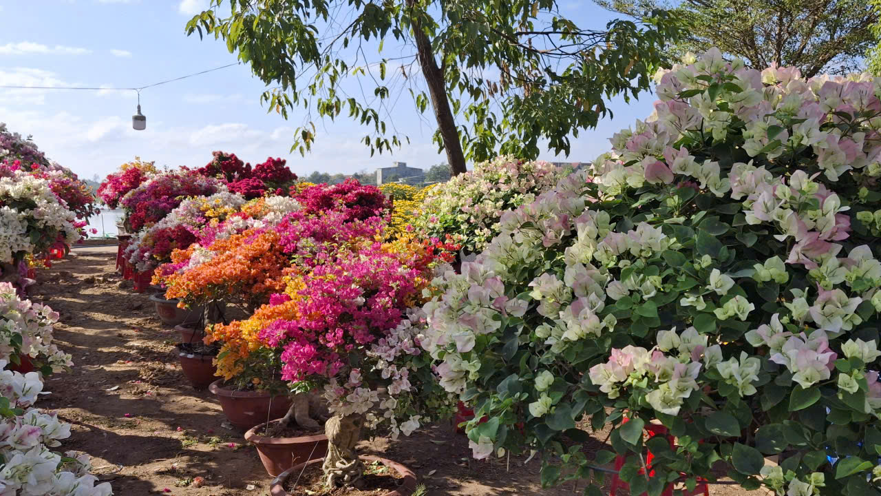 z7516030965117_aee8c5040bd10de630ca7797c3937eb9