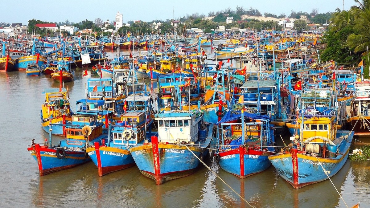 Hoàn thiện khung pháp lý thủy sản, tăng cường chống khai thác IUU